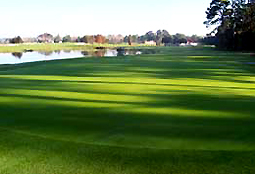 Deer Island Golf FL L4.jpg - Teebone Golf Courses Images
